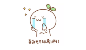 無(wú)可挑剔
